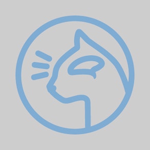 Redzes un smadzeņu attīstība