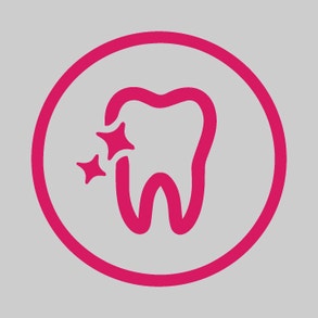 Perfect fit adult kuivtoit hoiab kassi hambad terved