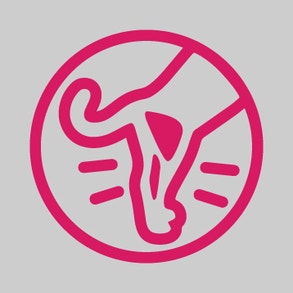 Perfect fit adult kuivtoit toetab kassi lihaseid