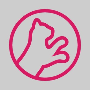 Perfect fit adult kuivtoit säilitab kassi elujõudu