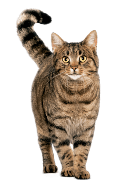 Võta meiega ühendust