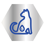 Perfect fit kassitoit toetab kassi kuseteede tervist